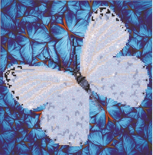 Diamante Dotz Flutter de White